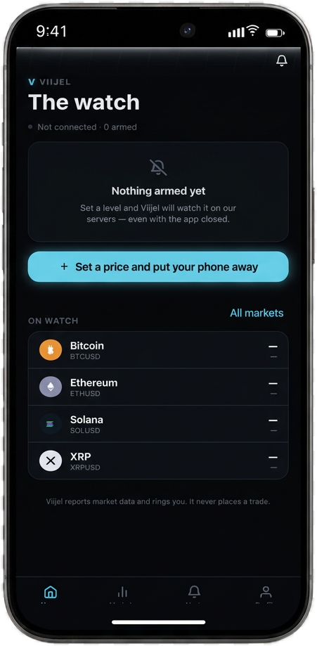 The VIIJEL app — The watch screen